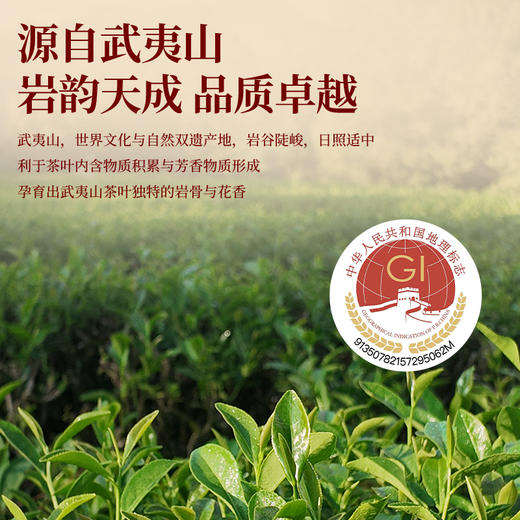 【尹哥的茶-大红袍】华大尹哥的茶武夷岩茶大红袍骐骥骅骝马年礼盒装特级品质新春送礼 商品图2