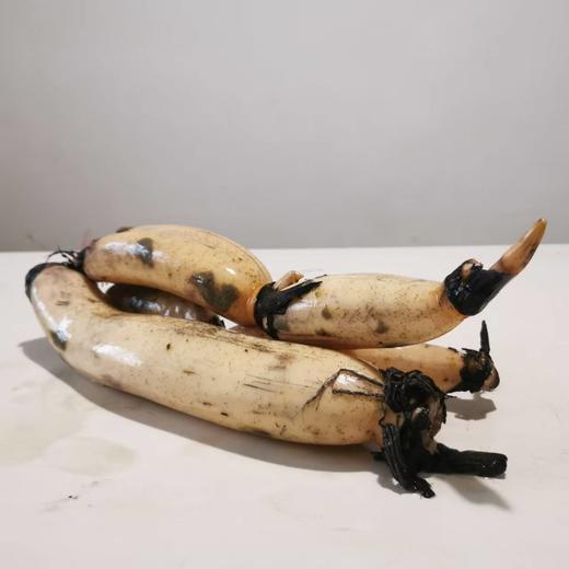 【包邮】湖北生态鲜莲藕   | 周一三五发货 | 基地直发 *Ecological Fresh Lotus Root 商品图4