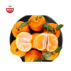 优选|四川蒲江春见耙耙柑  汁水充盈  酸甜细腻  现摘现发 3/5斤 商品缩略图0