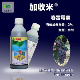 加收米(江门植保) 防治葡萄溃疡病、酸腐病等细菌病害