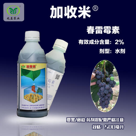 加收米(江门植保) 防治葡萄溃疡病、酸腐病等细菌病害 商品图0