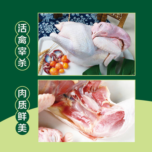 德禽/生态散养 母鸡（约900g）*两只 商品图2