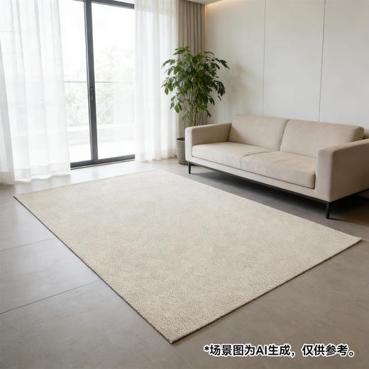 床边地毯客厅家用装饰地毯 朴素 商品图0