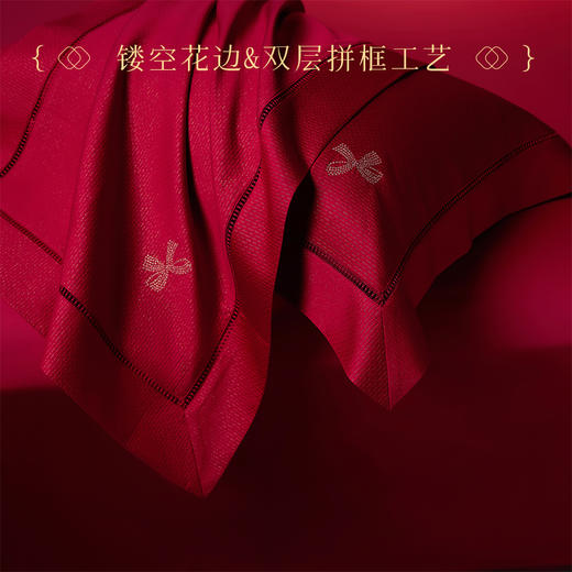 多喜爱 喜玫瑰 80S厚织提花八件套 欢愉于心【B面60S新绒棉】【拉杆箱包装】【蝴蝶结刺绣】【双层拼框工艺】【镂空花边】手感细腻 织物柔软 商品图3