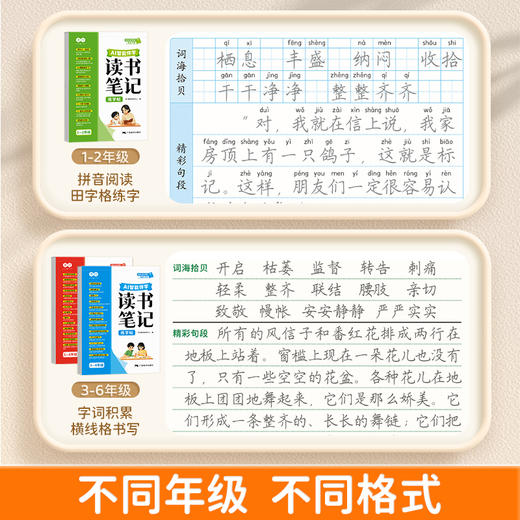 读书笔记练字帖1-6年级同步快乐读书吧作文素材积累+AI智能伴学 商品图3