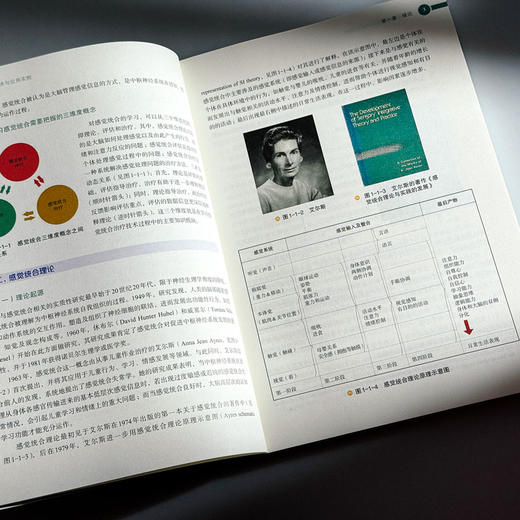 儿童感觉统合技术与应用实例 教师教育精品教材 刘晓佩 庞伟 特殊教育 学前教育 商品图8