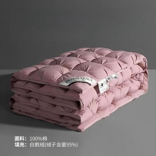 五星级酒店羽绒被95白鹅绒春秋被加厚冬季保暖婚庆被芯 商品图2
