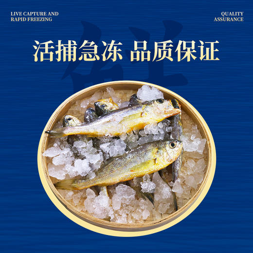 【GJ链接请勿用!!!】【舟山野生小黄鱼礼盒】液氮锁鲜，新年 “小金条”，500克/袋 商品图5