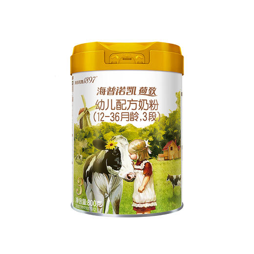 海普诺凯1897荷致奶粉3段800g（新） 商品图0