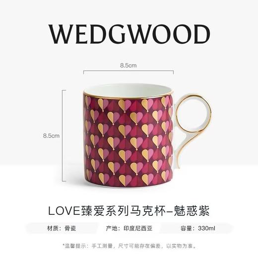 【WEDGWOOD】威基伍德Love臻爱系列马克杯两件装骨瓷咖啡杯家用情侣 商品图5