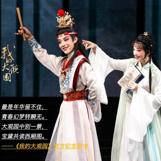 《我的大观园》官方纪念书籍【内含海报、明星片、贴纸】 商品图2