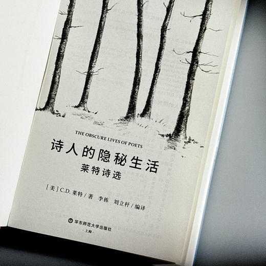 诗人的隐秘生活 莱特诗选 精装 C.D.莱特 商品图5