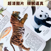 《博物大百科全书》正版少儿科学书籍探索自然万物的奥秘6-10-16岁 商品缩略图4