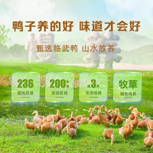 舜华酱板鸭小包装临武鸭休闲零食氮气熟食充氮酱板鸭、手撕鸭、葱香鸭舌 商品图2