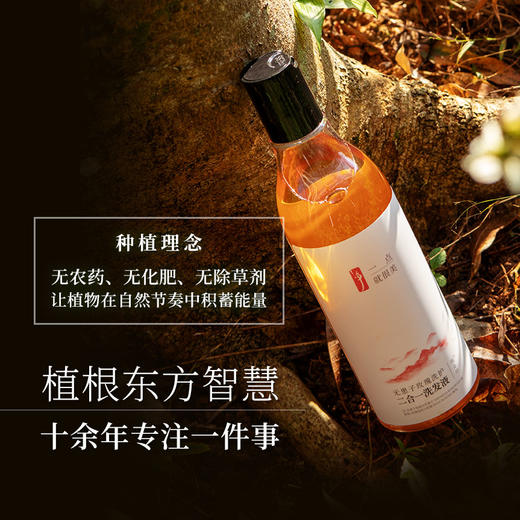 无患子玫瑰洗护二合一洗发液健康洗护来自自然 商品图3