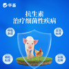 华畜盐酸土霉素可溶性粉猪鸡肠炎拉稀大肠杆菌支原体感染兽药正品 商品缩略图2