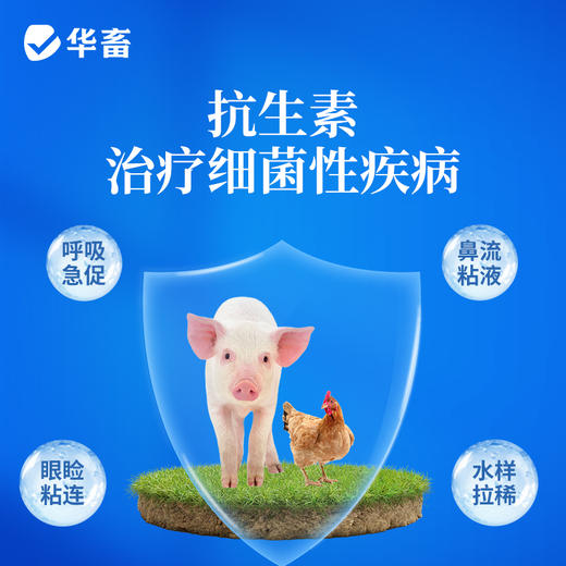 华畜盐酸土霉素可溶性粉猪鸡肠炎拉稀大肠杆菌支原体感染兽药正品 商品图2