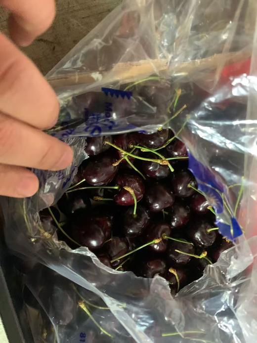 【觅趣小铺·智利车厘子-船运】智利皇室科迪亚车厘子 黑钻级典藏 商品图8