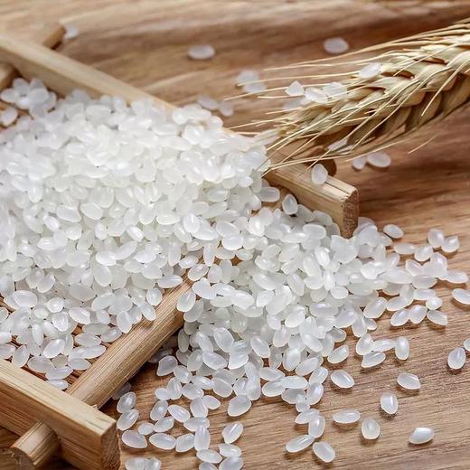 鑫龍清大米5kg【产地直发】 商品图1