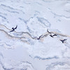 多喜爱 60S全棉缎纹四件套 雾屿/蔓时/疏影花信【三方拼框+花边】【芬纳诺抗菌】【礼盒包装】 透气舒爽 柔软亲肤 光泽细腻 商品缩略图11