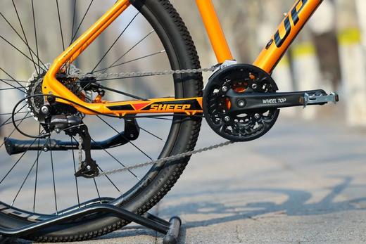 UPLAND阿普兰生肖羊 碳纤维平把 机械变速公路车男女骑行单车 商品图8