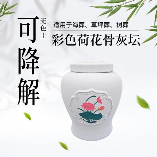 低温手作无色土彩色荷花可降解骨灰坛骨灰盒骨灰罐寿盒 商品图0