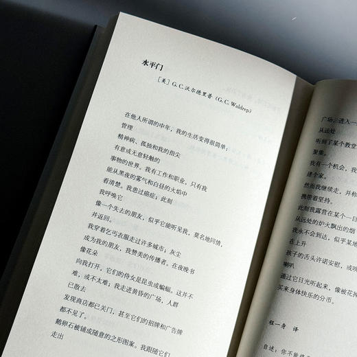 诗人的隐秘生活 莱特诗选 精装 C.D.莱特 商品图13