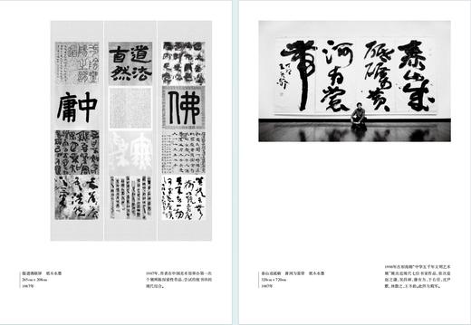 道象（全二册） 商品图4