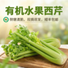 有机水果西芹，现摘现发，节后西芹生长周期较长，部分叶子可能老些，自行摘去即可（顺丰包邮，云南海南新疆西藏不发货） 商品缩略图0