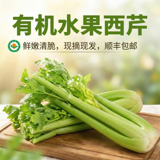 有机水果西芹，现摘现发，节后西芹生长周期较长，部分叶子可能老些，自行摘去即可（顺丰包邮，云南海南新疆西藏不发货） 商品图0