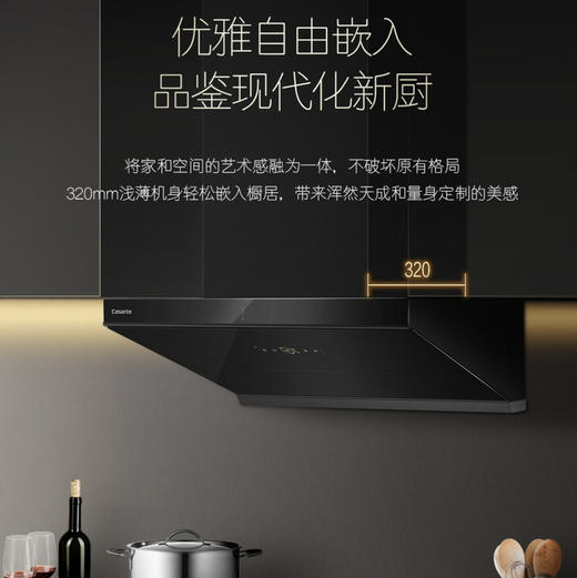 卡萨帝（Casarte）烟机 CXW-358-CLHUD 商品图9
