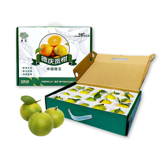 德庆贡柑20只装 商品图1
