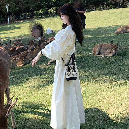 【法式茶歇长袖连衣裙】春季新款气质显瘦 白色A字裙收腰长裙子  商品图3