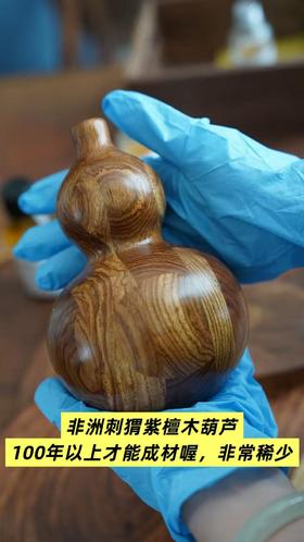 满8999送非洲te级刺猬紫檀木葫芦