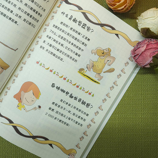 《拉鲁斯科学馆》平装3册 商品图6