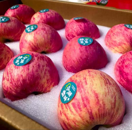 【悠选好货】甘肃静宁苹果礼盒国家地理标志产品顺丰包邮 商品图5