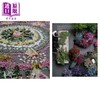 【中商原版】墨西哥花屋 21位花艺设计师的灵动之作 Flower House Mexico 英文原版 Pili Fuentes 商品缩略图2