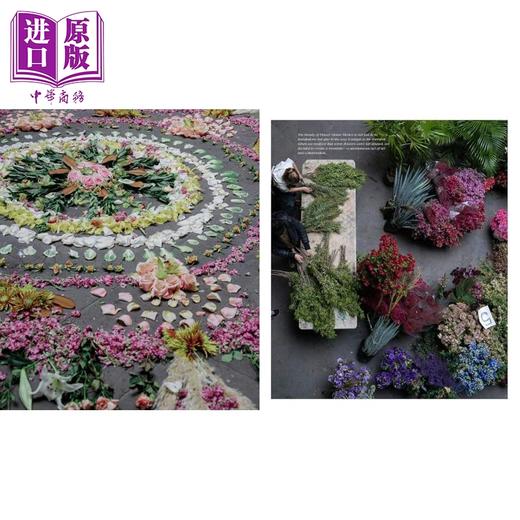 【中商原版】墨西哥花屋 21位花艺设计师的灵动之作 Flower House Mexico 英文原版 Pili Fuentes 商品图2