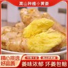 【黔南平塘】现挖小黄姜 农家自产 0.5kg/箱 商品缩略图1