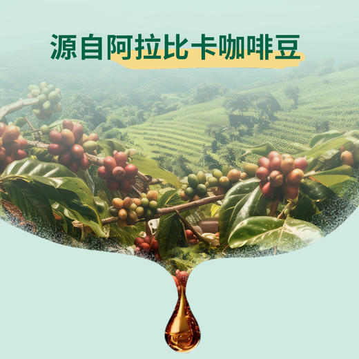 星巴克「星享漫萃」咖啡礼盒 商品图5