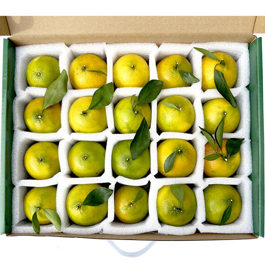 德庆贡柑20只装 商品图2