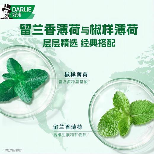 DARLIE好来(原黑人)牙膏双重薄荷家庭用套装天然植萃清新口气120g*3支 商品图3