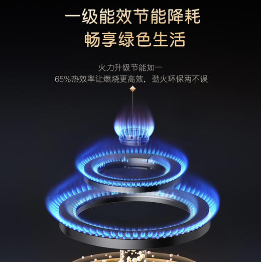 卡萨帝（Casarte）灶具 JZT-C6G82IGU9 商品图8