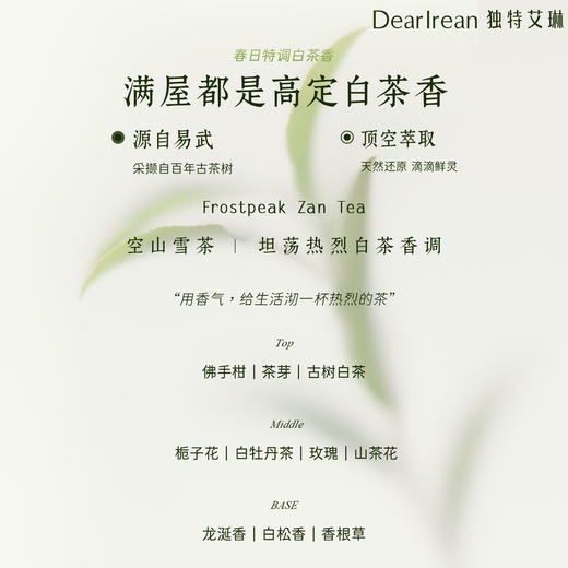 【侯明昊同款】DearIrean 独特艾琳空山雪茶系列防干易冲洗香皂浴室沐浴净手家用云朵固体香氛精油皂50g（官方自营） 商品图5