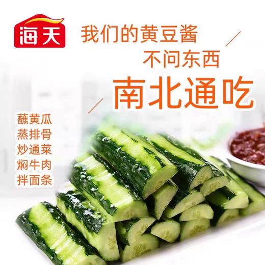 海天辣黄豆酱    230g+15g/瓶 商品图1