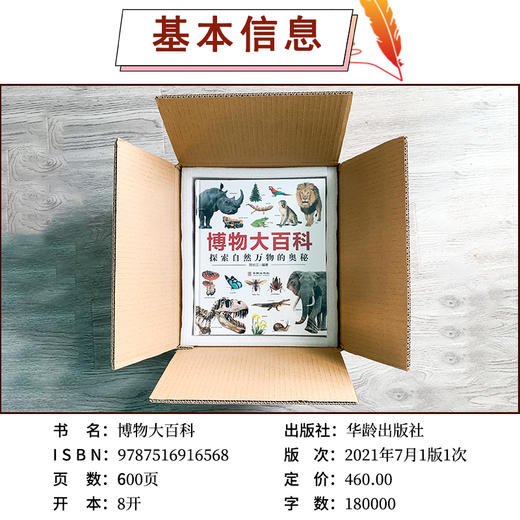 《博物大百科全书》正版少儿科学书籍探索自然万物的奥秘6-10-16岁 商品图8