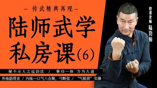 陆师武学私房课（六） 商品图0