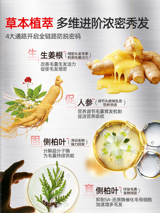 【院线专研 防脱特证】克兰慕林防脱发洗发水 专利精华 控油-除螨-去屑权威报告 4大植物精粹 守护发际线 500ml/瓶 商品图4