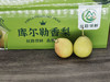【年货节】库尔勒香梨 脆甜爽口 水润生津 净重11斤左右 商品缩略图3