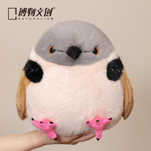 博物文创 大圆宝珠颈斑鸠 咕咕咕 新年元旦生日礼物 商品图1